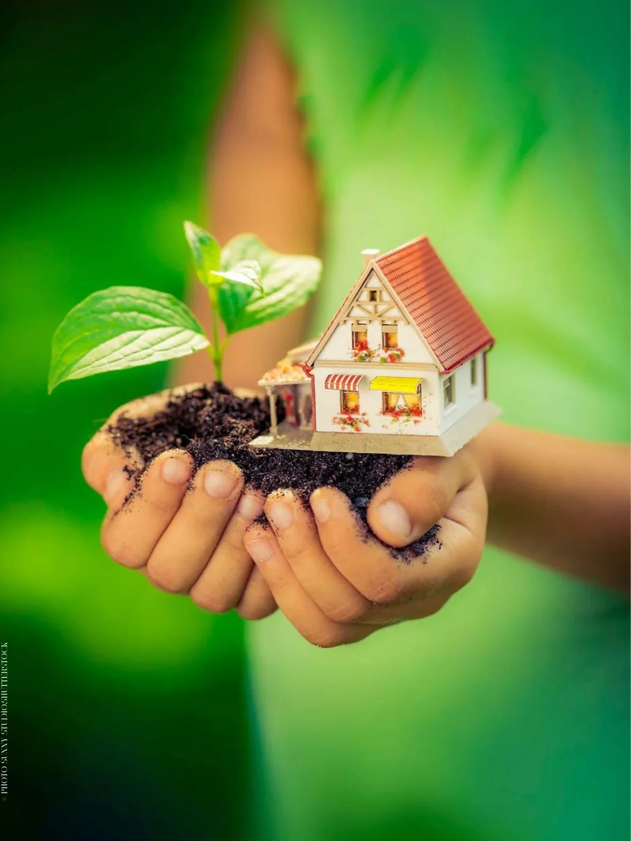 Mains remplies de terre avec une maison et une pousse dessus.