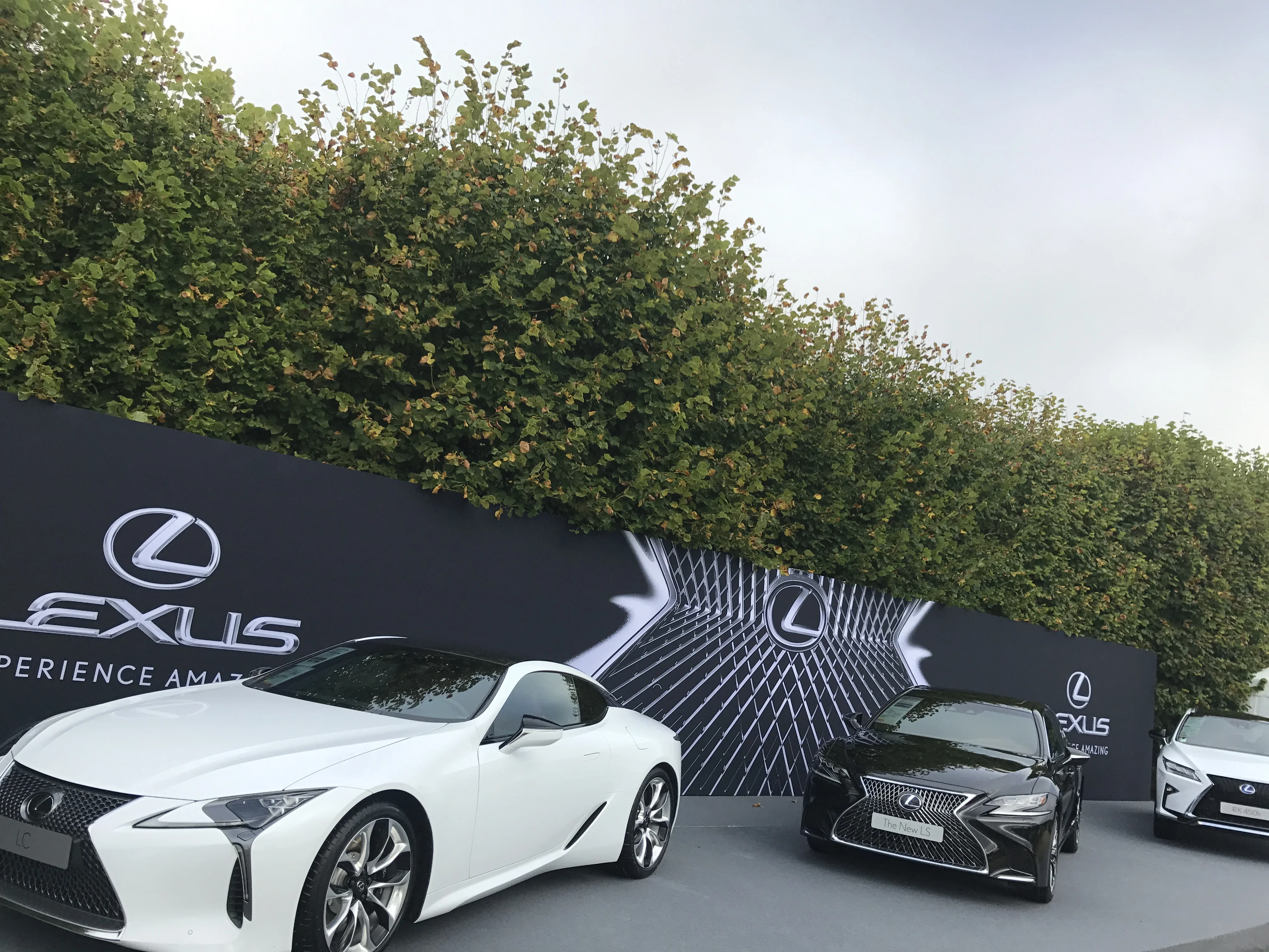 Chantilly - Lexus