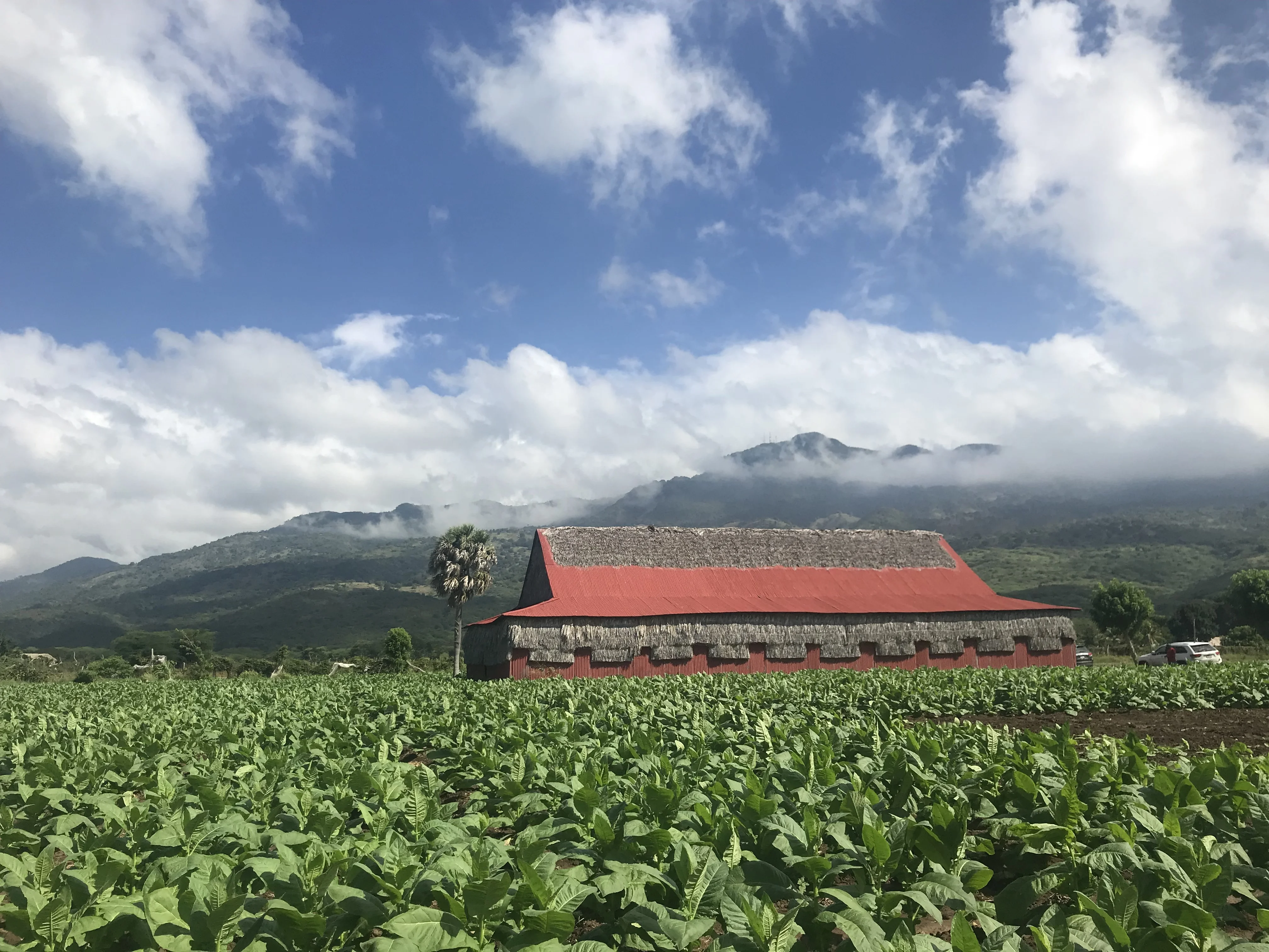 Photo équipe évènement République Dominicaine